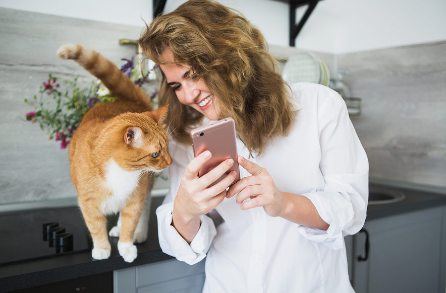 Handytarif mit Handy